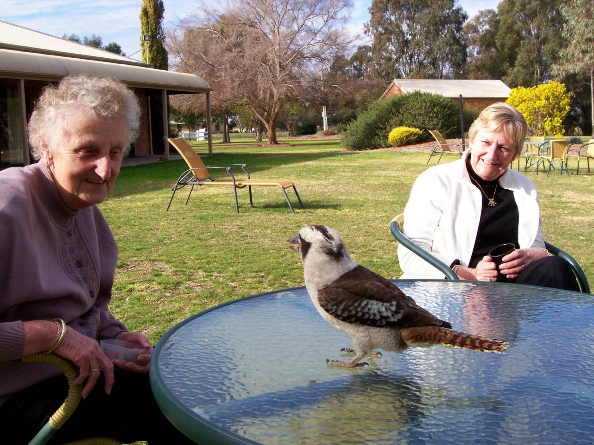 Cadell On The Murray Motel Moama Extérieur photo